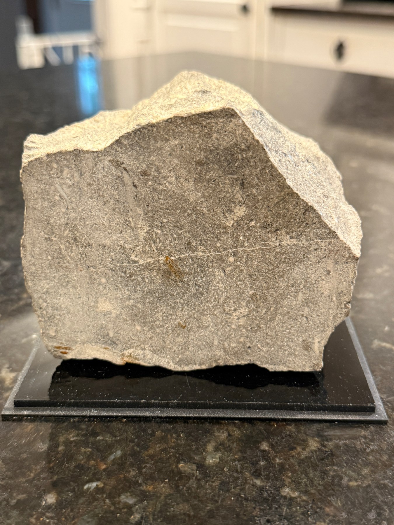 Front face of the family limestone block on its black display base