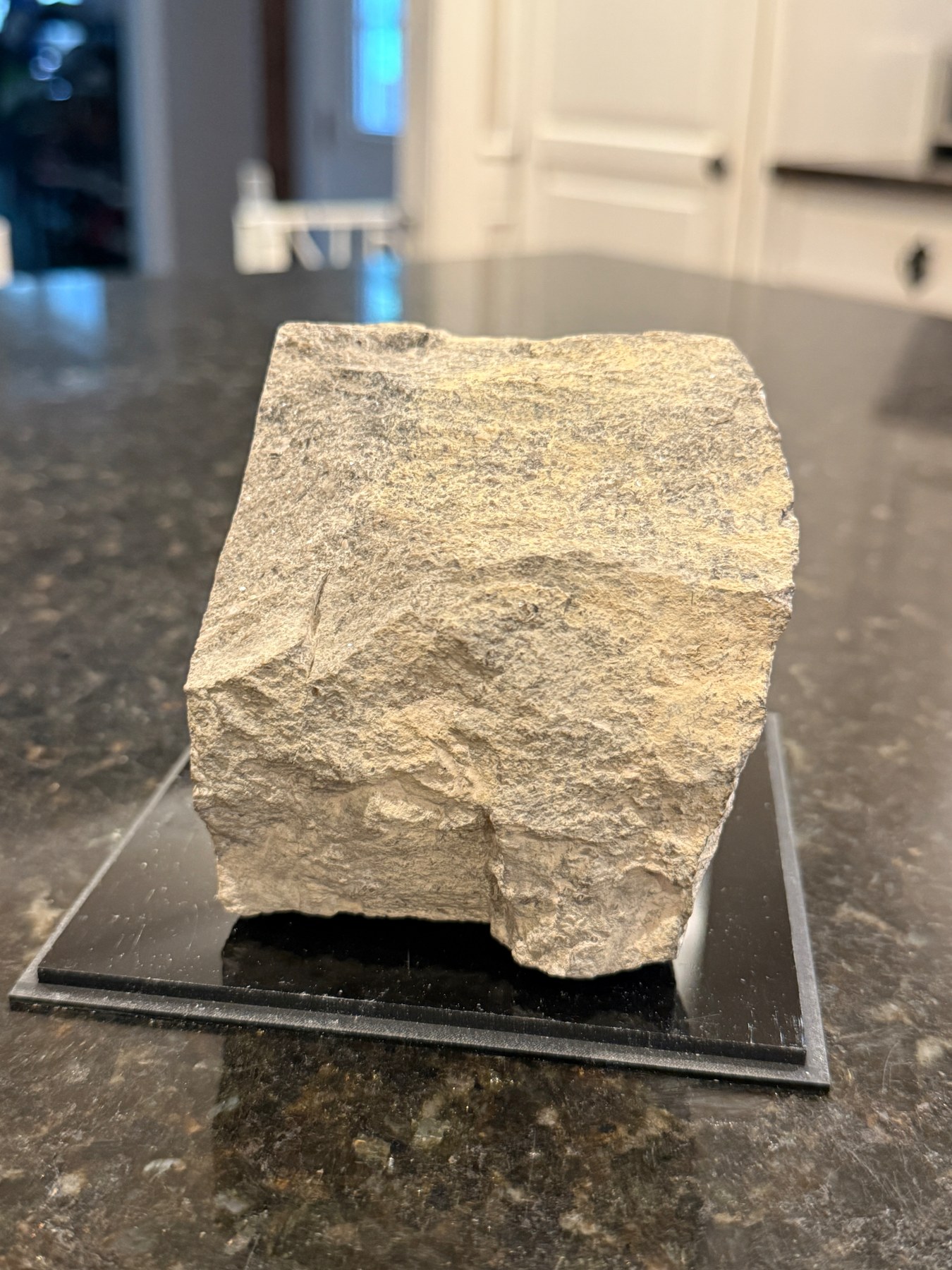 Side view showing the rough broken surface of the family limestone block