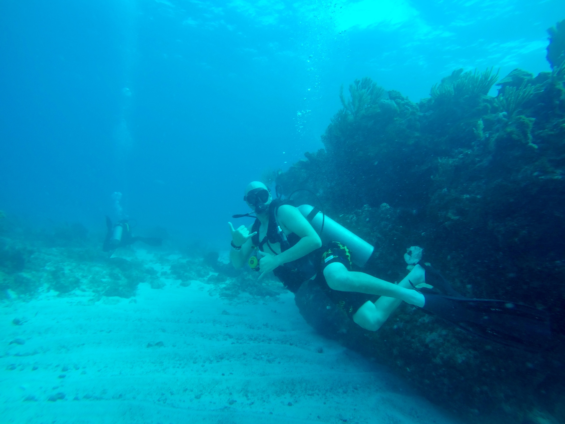 Diving a Caribbean reef wall