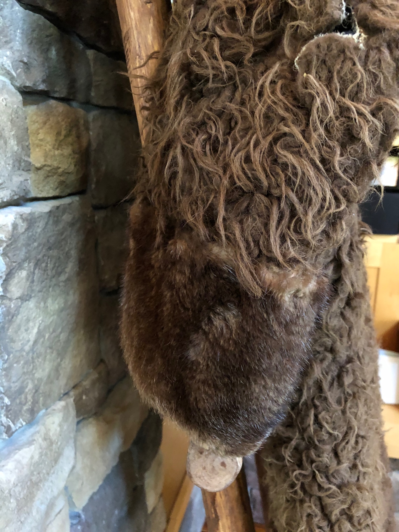 Detail of the sleeve cuff with smoother fur trim